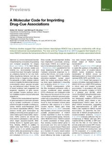 Neuron_2017_A-Molecular-Code-for-Imprinting-Drug-Cue-Associations