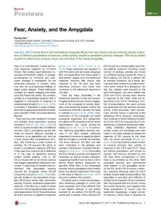 Neuron_2017_Fear-Anxiety-and-the-Amygdala