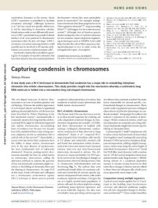 ng.3962-Capturing condensin in chromosomes