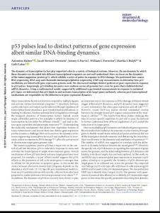 nsmb.3452-p53 pulses lead to distinct patterns of gene expression albeit similar DNA-binding dynamics