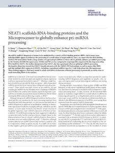 nsmb.3455-NEAT1 scaffolds RNA-binding proteins and the Microprocessor to globally enhance pri-miRNA processing