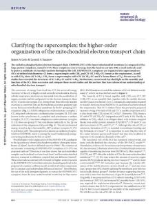 nsmb.3460-Clarifying the supercomplex the higher-order organization of the mitochondrial electron transport chain