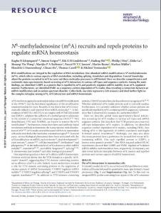nsmb.3462-N6-methyladenosine (m6A) recruits and repels proteins to regulate mRNA homeostasis