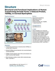 Structure-2017-Structural and Functional Implications of Human Transforming Growth Factor b-Induced Protein, TGFBIp, in Corneal Dystrophies