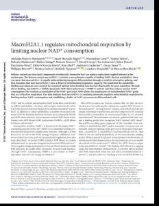 nsmb.3481-MacroH2A1.1 regulates mitochondrial respiration by limiting nuclear NAD+ consumption