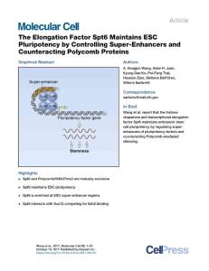Molecular-Cell_2017_The-Elongation-Factor-Spt6-Maintains-ESC-Pluripotency-by-Controlling-Super-Enhancers-and-Counteracting-Polycomb-Proteins