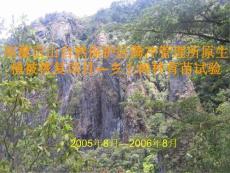 乡土树种育苗试验