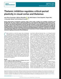 nature neuroscience-2017-Thalamic inhibition regulates critical-period plasticity in visual cortex and thalamus