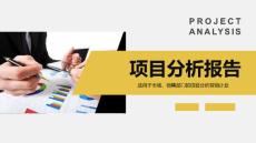 （精品）2017年市場投資項目可行性分析報告ppt動態模板