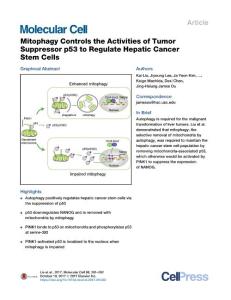 Mitophagy-Controls-the-Activities-of-Tumor-Suppressor-p53-to-R_2017_Molecula