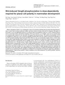 cr2017127a-Wnt-induced Vangl2 phosphorylation is dose-dependently required for planar cell polarity in mammalian development