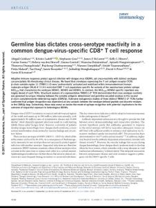 ni.3850-Germline bias dictates cross-serotype reactivity in a common dengue-virus-specific CD8+ T cell response