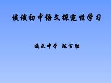 谈谈初中语文探究性学习