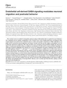 cr2017135a-Endothelial cell-derived GABA signaling modulates neuronal migration and postnatal behavior