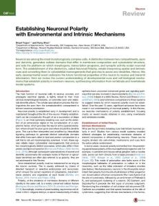Establishing-Neuronal-Polarity-with-Environmental-and-Intrinsic-M_2017_Neuro