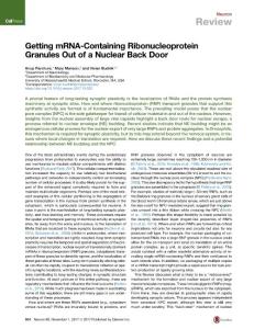 Getting-mRNA-Containing-Ribonucleoprotein-Granules-Out-of-a-Nucle_2017_Neuro