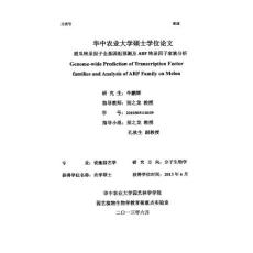 甜瓜轉(zhuǎn)錄因子全基因組預(yù)測(cè)及ARF轉(zhuǎn)錄因子家族分析