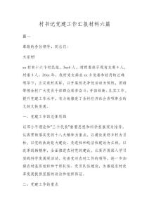村書記黨建工作匯報材料六篇