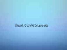 2015-2016学年人教版必修1 降低化学反应活化能的酶 课件(24张）