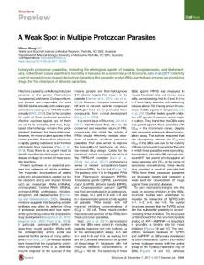 A-Weak-Spot-in-Multiple-Protozoan-Parasites_2017_Structure