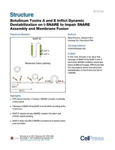 Botulinum-Toxins-A-and-E-Inflict-Dynamic-Destabilization-on-t-SNA_2017_Struc