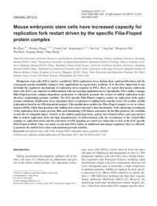 cr2017139-Mouse embryonic stem cells have increased capacity for replication fork restart driven by the specific Filia-Floped protein complex