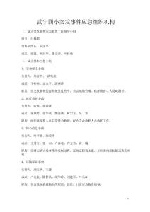 應急組織機構(gòu)