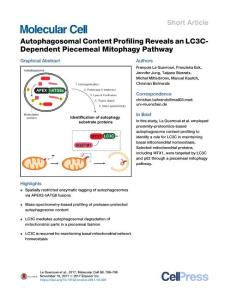 Autophagosomal-Content-Profiling-Reveals-an-LC3C-Dependent-Pi_2017_Molecular