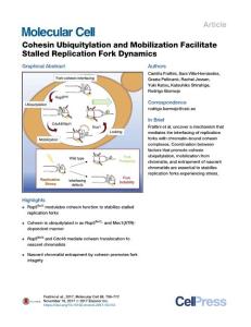 Cohesin-Ubiquitylation-and-Mobilization-Facilitate-Stalled-R_2017_Molecular-