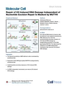 Repair-of-UV-Induced-DNA-Damage-Independent-of-Nucleotide-Exc_2017_Molecular