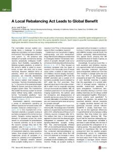 A-Local-Rebalancing-Act-Leads-to-Global-Benefit_2017_Neuron