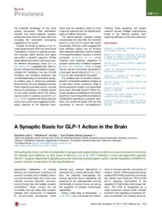 A-Synaptic-Basis-for-GLP-1-Action-in-the-Brain_2017_Neuron