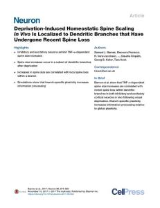 Deprivation-Induced-Homeostatic-Spine-Scaling-In-Vivo-Is-Localized-_2017_Neu
