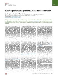 GABAergic-Synaptogenesis--A-Case-for-Cooperation_2017_Neuron