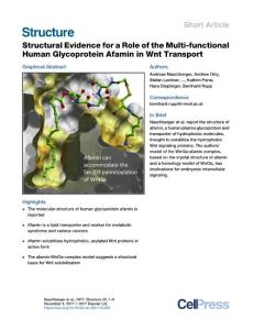 Structural-Evidence-for-a-Role-of-the-Multi-functional-Human-Glyc_2017_Struc