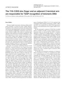 cr2017141-The 11th C2H2 zinc finger and an adjacent C-terminal arm are responsible for TZAP recognition of telomeric DNA