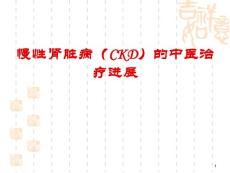 慢性腎臟病（CKD）的中醫(yī)治療進展