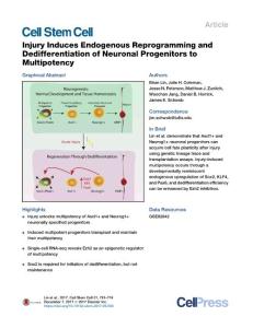 Injury-Induces-Endogenous-Reprogramming-and-Dedifferentiation-_2017_Cell-Ste