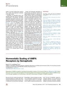 Homeostatic-Scaling-of-AMPA-Receptors-by-Semaphorin_2017_Neuron