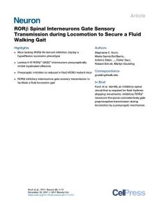 ROR--Spinal-Interneurons-Gate-Sensory-Transmission-during-Locomoti_2017_Neur