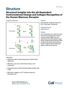 Structural-Insights-into-the-pH-Dependent-Conformational-Change-an_2017_Stru