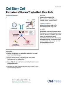 Derivation-of-Human-Trophoblast-Stem-Cells_2017_Cell-Stem-Cell