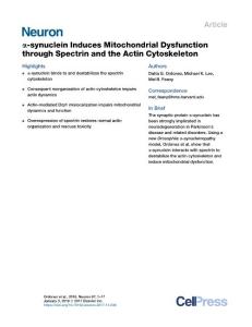 --synuclein-Induces-Mitochondrial-Dysfunction-through-Spectrin-and_2017_Neur