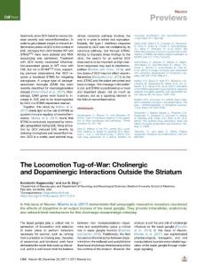 The-Locomotion-Tug-of-War--Cholinergic-and-Dopaminergic-Interactio_2017_Neur