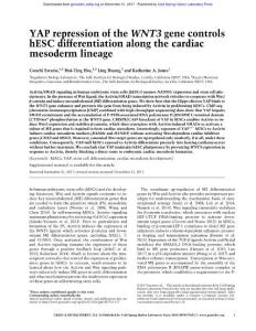 Genes Dev.-2017-Estar醩-YAP repression of the WNT3 gene controls hESC differentiation along the cardiac mesoderm lineage
