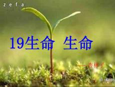 19、生命生命