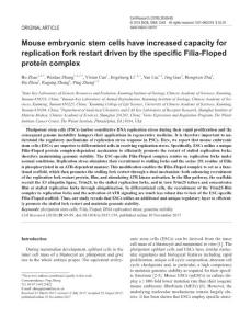 cr2017139a-Mouse embryonic stem cells have increased capacity for replication fork restart driven by the specific Filia-Floped protein complex
