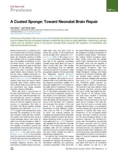 A-Coated-Sponge--Toward-Neonatal-Brain-Repair_2018_Cell-Stem-Cell