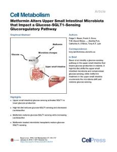 Metformin-Alters-Upper-Small-Intestinal-Microbiota-that-Impact_2018_Cell-Met