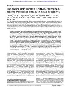 Genome Res.-2017-Fan-The nuclear matrix protein HNRNPU maintains 3D genome architecture globally in mouse hepatocytes